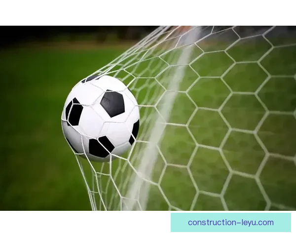 卢顿俱乐部百年沉浮与英伦足球梦想复兴之路探析历史传承与未来蓝图